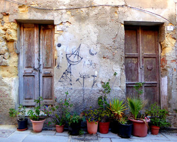 Potted plants outside house