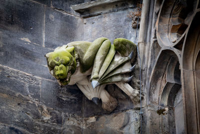 Close-up of a gargoyle covered in moss and placed on the exterior of a gothic cathedral