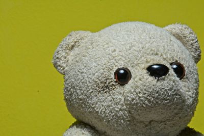 Close-up of teddy bear against yellow background