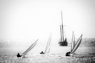 Sailboats on sea against clear sky