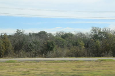 Trees on landscape against sky