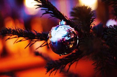 Close-up of christmas tree at night