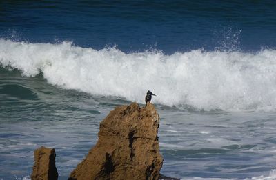 High angle view of man surfing in sea