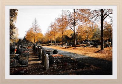 Trees in cemetery against sky during winter