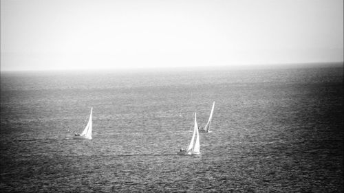 Sailboat in sea