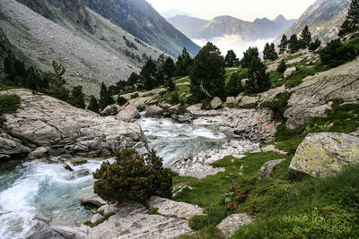 Stream amidst rocks at pyrenees
