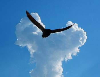 Low angle view of a bird flying
