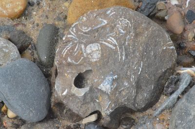 High angle view of stones on sand at beach