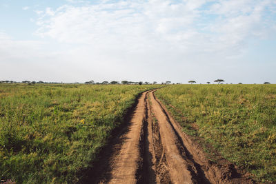 Scenic view of  field against sky