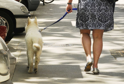 Low section of person with horse on street