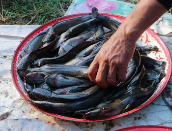 Midsection of man preparing fish
