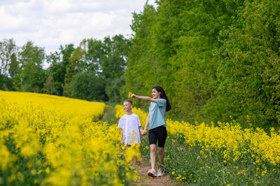 Scenic view of oilseed rape field