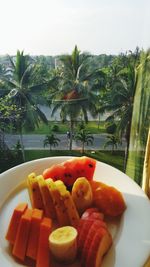 Fruits on plate with palm tree against sky