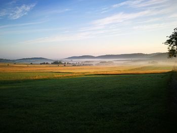 Scenic view of field against sky