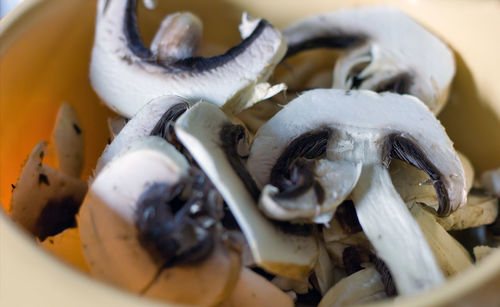 High angle view of fish in plate