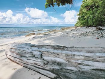 Scenic view of beach against sky