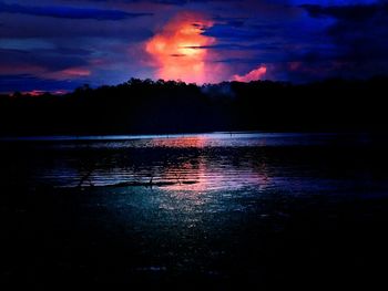 Silhouette of trees at sunset