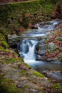 Scenic view of waterfall in forest