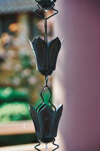 Close-up of black butterfly hanging on metal wall