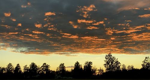 Silhouette trees on field against dramatic sky