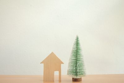 Potted plant on table by wall against white background