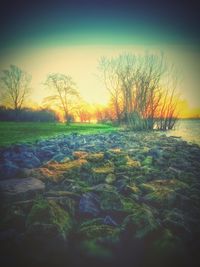 Scenic view of sea at sunset