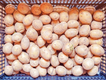 High angle view of pumpkins for sale at market stall