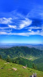 Aerial view of landscape