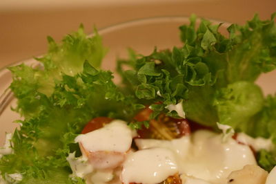 Close-up of salad in plate