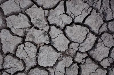 Full frame shot of cracked cobblestone