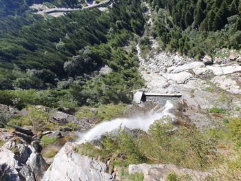 High angle view of waterfall in forest