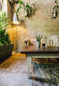 Potted plant on table at home