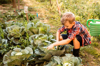 Rear view of boy having food