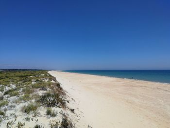 Scenic view of sea against clear blue sky