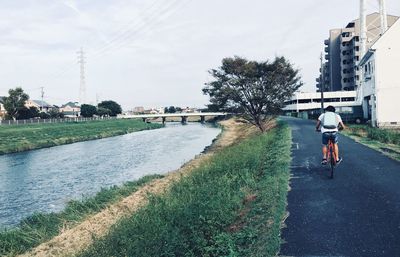 Rear view of man riding bicycle on road by canal in city