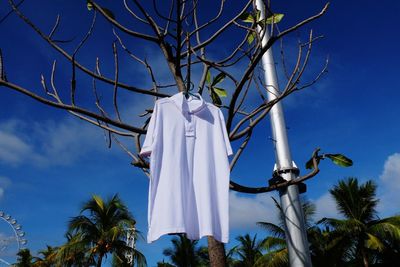 Low angle view of palm tree against blue sky
