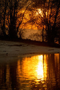 Silhouette trees by lake against sky during sunset