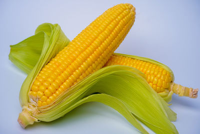 Close-up of corn