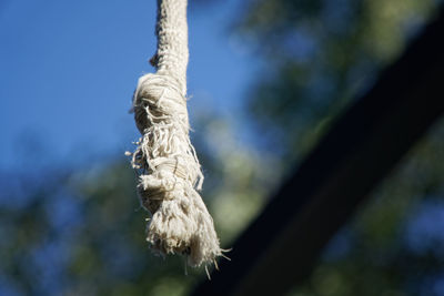 Rope on sport playground