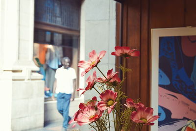 Close-up of flowers in vase