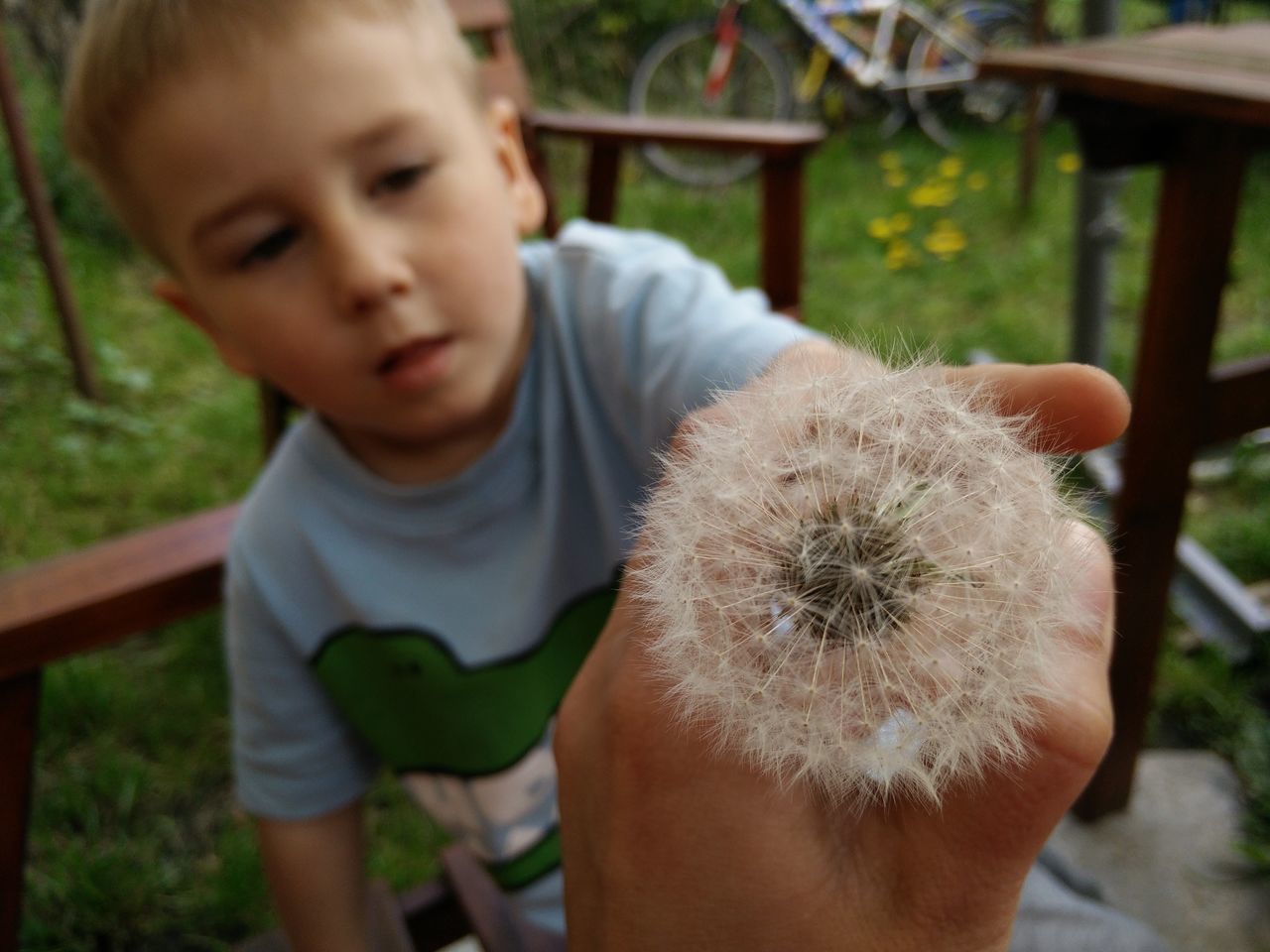 childhood, lifestyles, boys, innocence, cute, leisure activity, focus on foreground, casual clothing, portrait, close-up, front or back yard, day, headshot, outdoors, nature