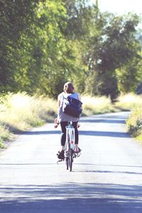 Rear view of woman cycling on road against trees