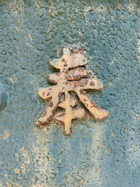 High angle view of starfish on beach