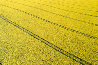 High angle view of field