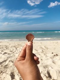 Cropped hand of woman holding seashell at beach