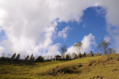 Scenic view of landscape against cloudy sky