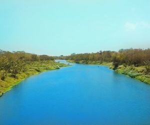 Scenic view of lake in forest against clear blue sky