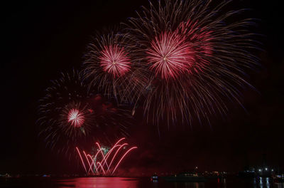 Low angle view of firework display at night