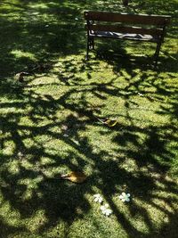 Shadow of tree on grass in park