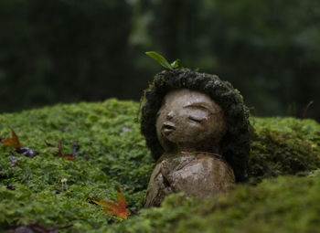 Close-up of statue on land